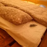 Zarevo Glamping Luxury tent