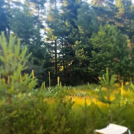 Zarevo Glamping * Skobelevo (Plovdiv)