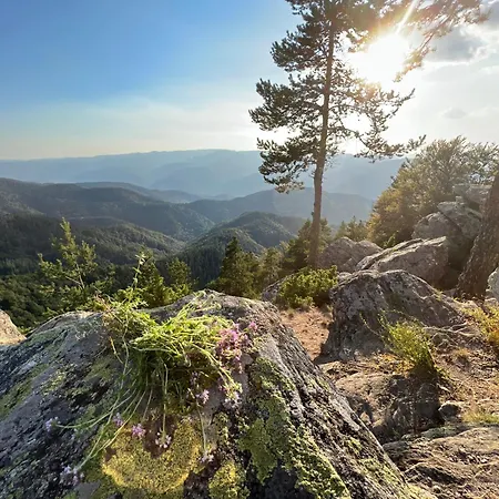 Zarevo Glamping Luxuszelt *