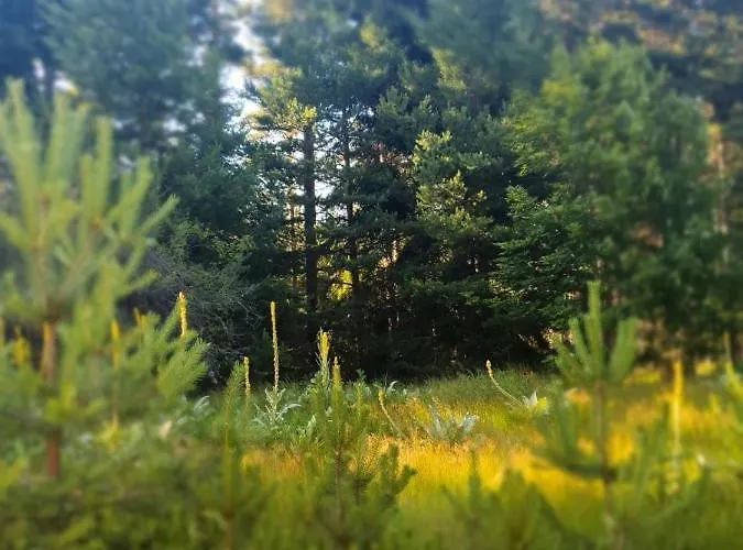 Zarevo Glamping * Skobelevo (Plovdiv)