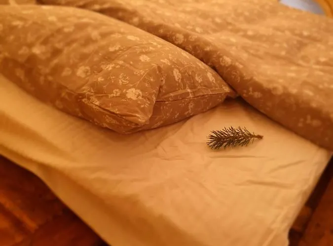 Zarevo Glamping Οργανωμένο κάμπινγκ