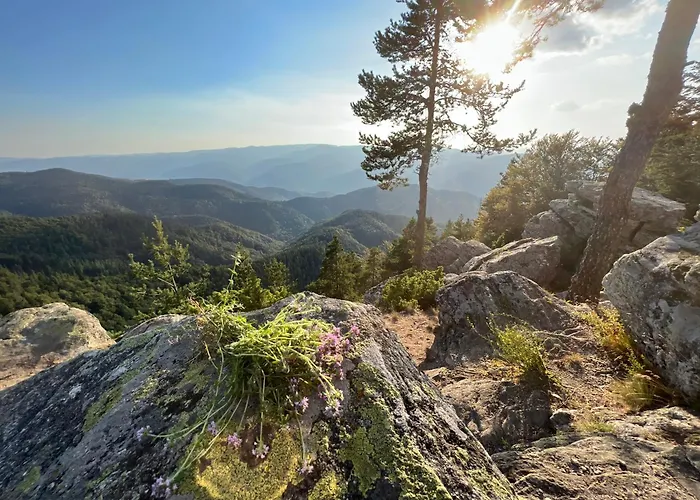 Zarevo Glamping Οργανωμένο κάμπινγκ *